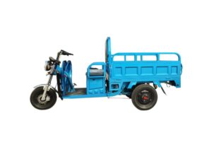 TRICICLO ELCTRICO 500 KILOS, HOMOLOGADO TOLDO DE REGALO