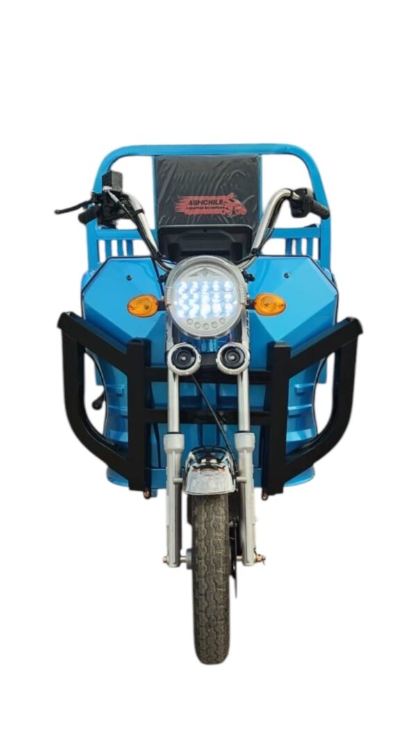 TRICICLO ELCTRICO 500 KILOS, HOMOLOGADO TOLDO DE REGALO - Imagen 6
