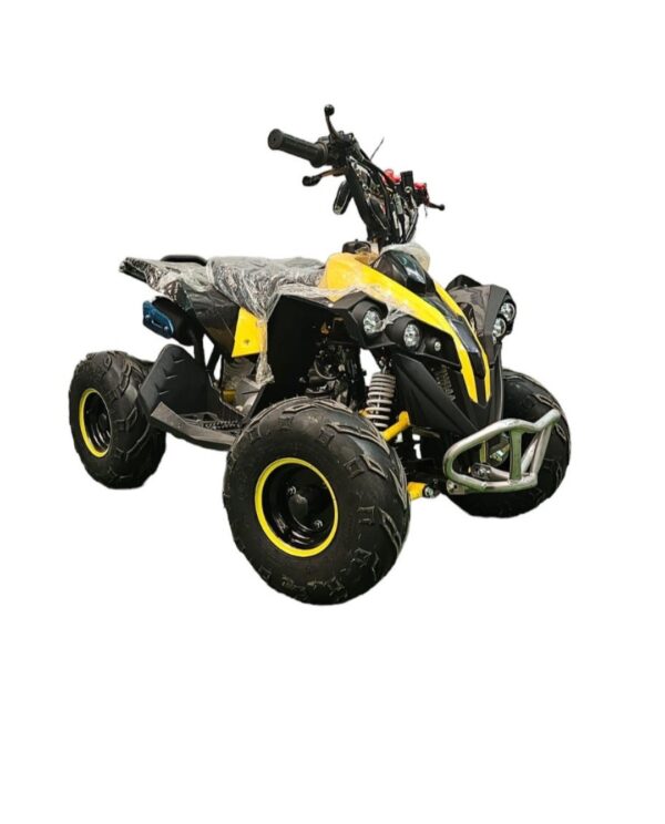 Cuatrimoto Raptor Aro 6 - 110cc - Imagen 2