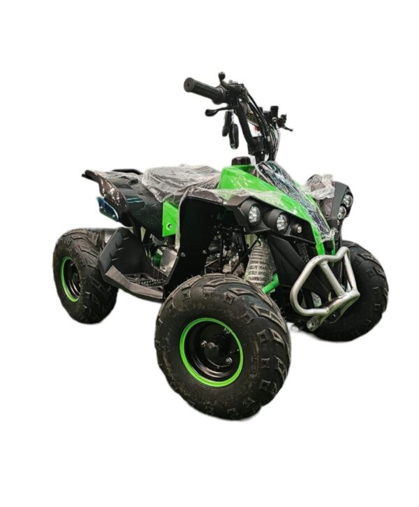Cuatrimoto Raptor Aro 6 - 110cc - Imagen 3