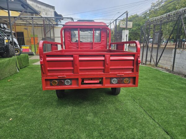 TRICICLO MINI TRUCK FRENO DE DISCO 700 Kilos - Imagen 5
