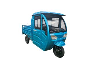 TRICICLO MINI TRUCK FRENO DE DISCO 700 Kilos