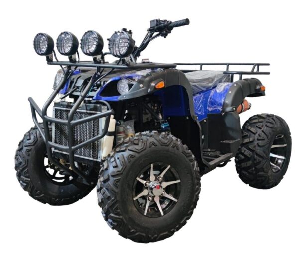 CUATRIMOTO TODO TERRENO 300CC AUTOMATICA